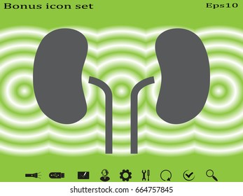 kidney, icon, vector illustration eps10