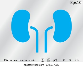 kidney, icon, vector illustration eps10