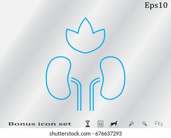kidney, icon, vector illustration eps10