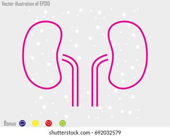 kidney  icon, vector illustration eps10