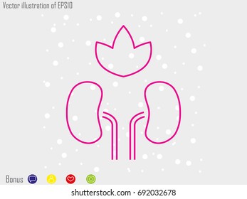 kidney  icon, vector illustration eps10