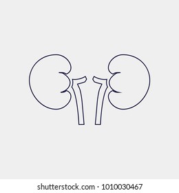 kidney icon, Vector illustration. organ icon