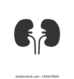 kidney icon. Vector illustration. Organ icon vector