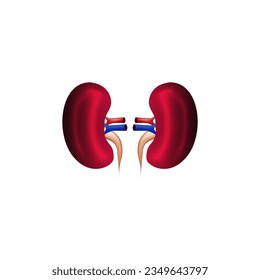 Kidney icon vector illustration For Print, Kidney Clipart, Kidney vector Illustration