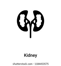 Kidney icon vector isolated on white background, logo concept of Kidney sign on transparent background, filled black symbol