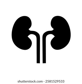kidney icon vector on white background