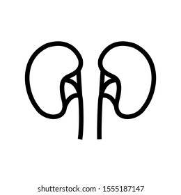 Kidney icon vector in simple design