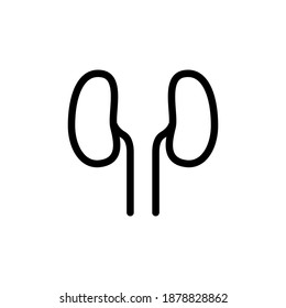 kidney icon vector symbol template