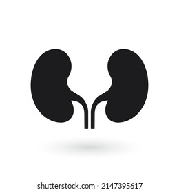 Vector de icono del riñón. Plantilla de diseño del logotipo de urología. Vector