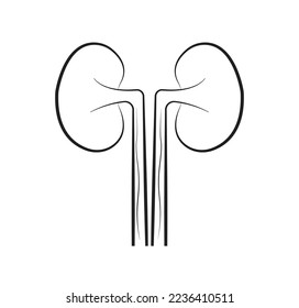 Kidney icon vector. Urology logo design template.