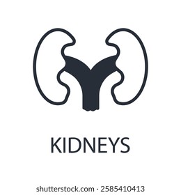 Kidney icon. vector.Editable stroke.linear style sign for use web design,logo.Symbol illustration.