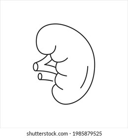 Kidney icon for web design, menu, app, poster, ads, postcard and magazine