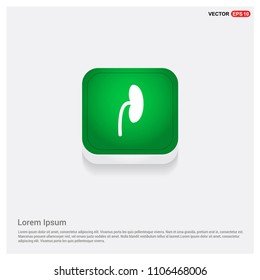 kidney iconGreen Web Button