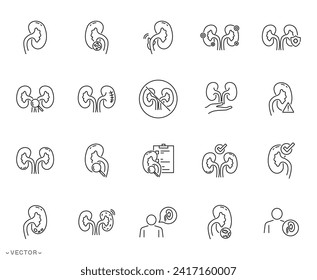 kidney icons collection, kidney examination and disease urinary system concept, kidney thin line symbol isolated on white background, editable stroke eps 10 vector illustration