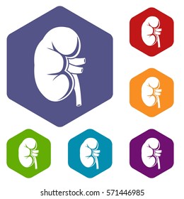 Kidney icons set rhombus in different colors isolated on white background