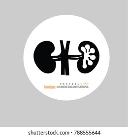 kidney icon.vector illustration.