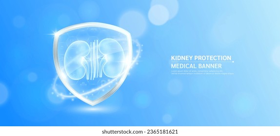 Niere in der Glasscheibe leuchtend mit Symbol für medizinische Symbole auf blauem Bokeh-Hintergrund. Menschliches Anatomie-Organ transluzent. Immunitätsschutz im Gesundheitswesen Banner-Vektorgrafik.