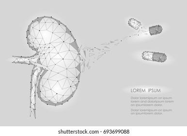 Kidney internal organ men 3d low poly geometric model. Urology system medicine disease treatment drug capsule. Future science technology polygonal geometric wire mesh vector illustration