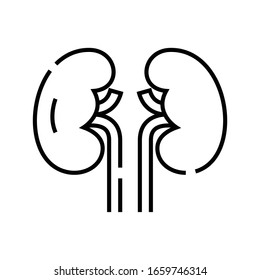 Kidney internal organs line icon, concept sign, outline vector illustration, linear symbol.