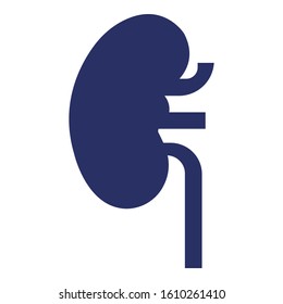 
Kidney Isolated Vector icon which can be easily modified or edit
