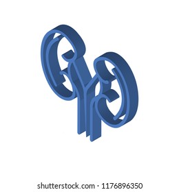 Kidney isometric left top view 3D icon