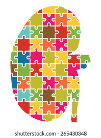 Kidney Jigsaw Puzzle Pieces Abstract