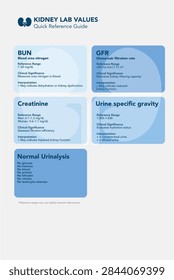 Kidney laboratory values quick reference guide featuring blood urea nitrogen (BUN), glomerular filtration rate (GFR), creatinine, urine specific gravity, and normal urinalysis findings. Includes reference ranges, clinical significance, and interpretation of common kidney and urinary laboratory results. Clean medical infographic designed for healthcare education, nursing resources, clinical reference, laboratory medicine, renal care, and patient care materials.