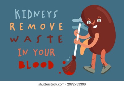 Afiche del paisaje de riñón para la sensibilización, control de la salud, prevención de enfermedades del sistema urológico. Personajes de dibujos animados. Ilustración vectorial médica para sitio web, aplicación, folleto de nefrología.