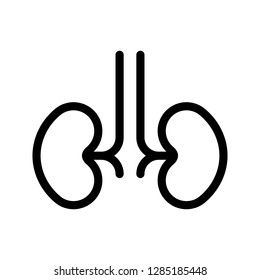 kidney line icon
