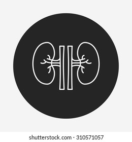 Kidney line icon