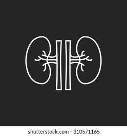 Kidney line icon