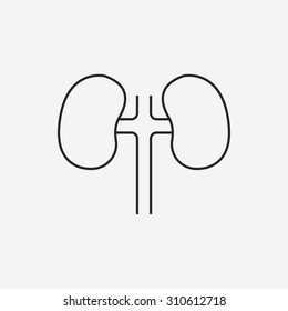 Kidney line icon
