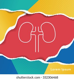Kidney line icon