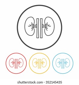 Kidney line icon