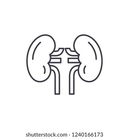 Kidney line icon concept. Kidney vector linear illustration, symbol, sign