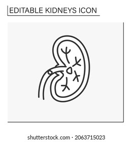 Kidney line icon. Unhealthy internal organ.Kidney stones. Renal calculi, nephrolithiasis or urolithiasis. Healthcare concept.Isolated vector illustration.Editable stroke