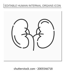 Kidney line icon.Medical treatment. Body parts. Human internal organs concept.Isolated vector illustration.Editable stroke