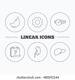 Kidney, liver and stomach organ icons. Medical mirror linear sign. Flat cogwheel and calendar symbols. Linear icons in circle buttons. Vector