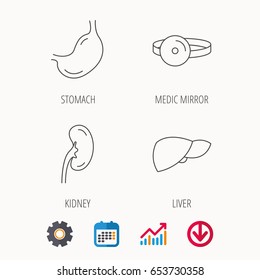 Kidney, liver and stomach organ icons. Medical mirror linear sign. Calendar, Graph chart and Cogwheel signs. Download colored web icon. Vector