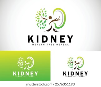 kidney logo creative design concept health herbal tree concept organs natural