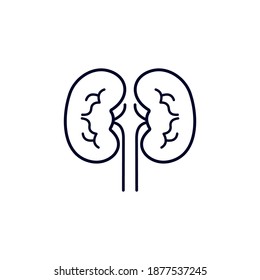 Modelo vectorial de diseño del logotipo del riñón, concepto de diseño del logotipo de los órganos, símbolo del icono