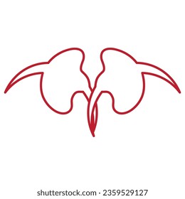 Kidney logo icon vector illustration.