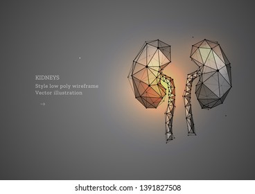 Kidney. Low poly wireframe style. Banner concept, the treatment of urological diseases. Organ transplantation. Abstract illustration isolated on gray dark background. 