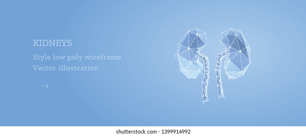 Kidney. Low poly wireframe style. Banner concept, the treatment of urological diseases. Organ transplantation. Abstract illustration isolated on light blue background. 