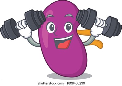 Kidney mascot design feels happy lift up barbells during exercise