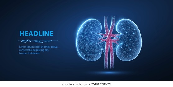 Kidney on blue. Urological health, organ donation, medical technology, human anatomy, donor kidney, urinary tract, cancer research, bladder infection, renal failure, urology concept.