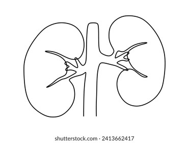 Dibujo de una línea de riñón. Órgano de anatomía humana. Concepto médico de ilustración de vector lineal continuo.