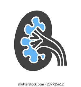 Kidney, organ, body part icon vector image. Can also be used for healthcare and medical. Suitable for web apps, mobile apps and print media.