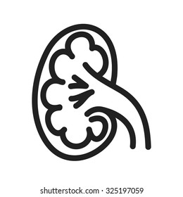 Kidney, organ, body part icon vector image. Can also be used for healthcare and medical. Suitable for web apps, mobile apps and print media.