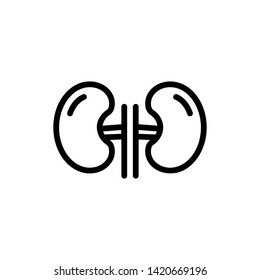 Kidney Organ Vector Line Icon